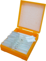 Levenhuk N10 NG Zoológiai előkészített tárgylemezkészlet