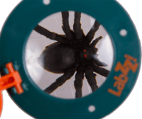 Levenhuk LabZZ C1 Rovarmegfigyelő doboz