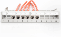 Digitus DN-93706 10" Patch panel - 12 port