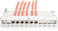 Digitus DN-93706 10" Patch panel - 12 port