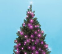 Somogyi KII 100/P Beltéri LED fényfüzér 8m - Pink