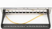 Digitus DN-91420 10" Patch panel 1U - 12 port