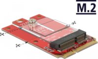 Delock 63909 Mini PCIe - M.2 adapter