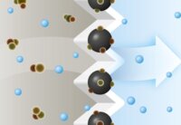 Bosch BBZAFGALL AirFresh GALL Porzsák (4 db/csomag)