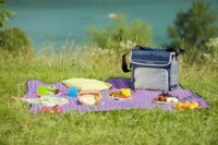 Campingaz Fold'N Cool 30L Hűtőtáska - Kék/Szürke