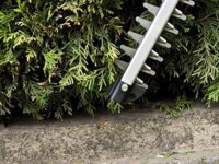 Einhell GE-CH 1846 Li-Solo Akkus sövényvágó - Piros (akku és töltő nélkül)