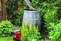 Einhell GE-SP 3546 RB Kerti Szivattyú