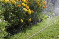 Gardena 1999-20 Sprinkler Esőztetőtömlő 15 M - Barna