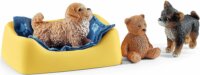 Schleich Kölyökkutya kennel figurákkal