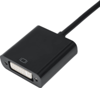 Akyga AK-AD-37 DVI-D - miniDisplayPort Adapter