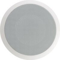 Mennyezeti hangszóró