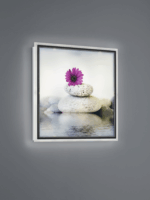 TRIO Zen Fali Lámpa