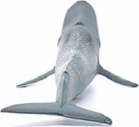 Schleich Kék bálna figura