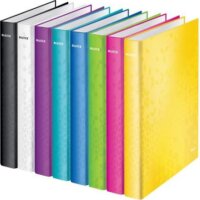 Leitz Active Wow A4 Maxi Gyűrűs könyv D alakú - Fekete