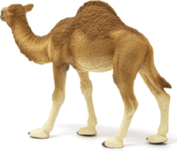 Schleich Dromedár figura
