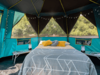 Coleman Cortes Octagon 8 nyolcszög sátor - Sötétzöld