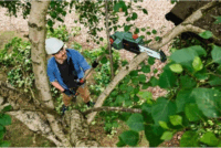 Bosch UniversalChainPole 18 Akkumulátoros Teleszkópos Ágvágó