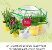 Kosmos 632090 Gyógynövény nevelő tudományos készlet