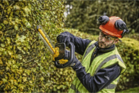 Dewalt DCMHT563N Akkumulátoros Sövényvágó (Akku és töltő nélkül)