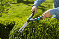 Gardena PrecisionCut Sövénynyíró Olló