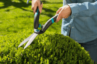 Gardena PrecisionCut Sövénynyíró Olló