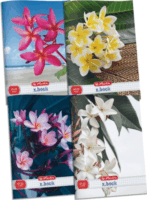 Herlitz x.book: Flower 32 lapos A4 négyzetrácsos füzet - Többféle
