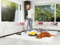 Thomas Perfect Air Animal Pure Porszívó - Sárga/Szürke