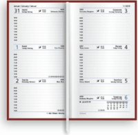 Toptimer Joy 95 x 170mm 2026 Álló elrendezésű Zsebnaptár - Papagáj