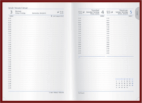 Toptimer Joy B6 2026 Napi tervező naptár - Gömbök