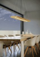 TRIO 323710130 Brad LED Mennyezeti függő lámpa