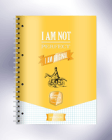 ICO Student Art 70 lapos A4 kockás spirálfüzet