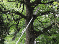 Einhell GC-MM 52 I AS Benzines szegélynyíró