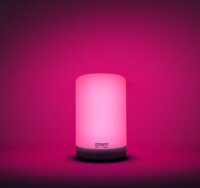 Gosund Nitebird LB3 Smart Wi-Fi Okos LED Éjjeli Dekorációs Lámpa