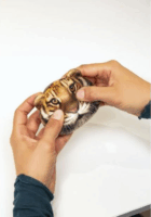 Kikkerland SB02 nagymacskás stresszlabda