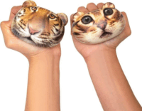 Kikkerland SB02 nagymacskás stresszlabda