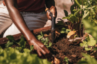 Fiskars Solid™ Ültetőbot