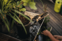 Fiskars Solid™ P321 Metszőolló