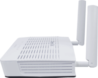 DrayTek VigorLTE 200n LTE Router