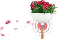 Gardena 11320-20 ClickUp! Virágtál - Fehér