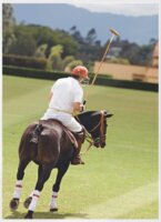 Leitz 125 mikron A3 lamináló fólia (25 db/csomag)