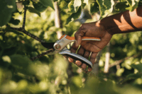 Fiskars Plus Metal P531 mellévágó metszőolló