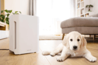 Sencor SHA 6400WH légtisztító (20m2)