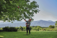 Einhell GE-LM 36/4in1 Li-Solo Akkumulátoros multifunkciós szegélynyíró (akku és töltő nélkül)