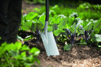 WOLF-Garten AS-D Spade Lapát