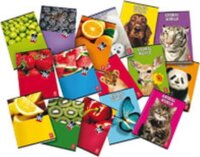 Pigna Fruits 42 lapos A4 kockás füzet többfajta