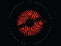 Electrolux LHR3233CK Kerámia főzőlap - Fekete