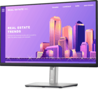 Dell 23.8" P2422H monitor