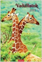 Toptimer 220 x 330 mm 2026 Fali naptár - Vadállatok