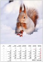 Toptimer 220 x 330 mm 2026 Fali naptár - Vadállatok