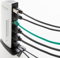 Delock 87771 USB-C Dokkoló állomás
